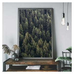 Prírodný plagát s motívom lesa
