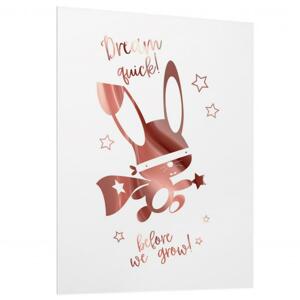 Biely plagát so zrkadlovou grafikou ružového ninja králika