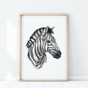 Safari plagát s portrétom zebry