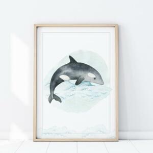 Detský plagát na stenu s delfínom