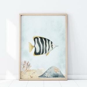 Nástenný detský plagát s morskou rybkou