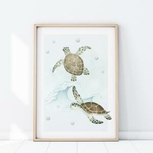 Dekoračný plagát z kolekcie oceán - morské korytnačky