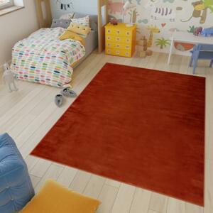 Shaggy koberec v hnedej farbe